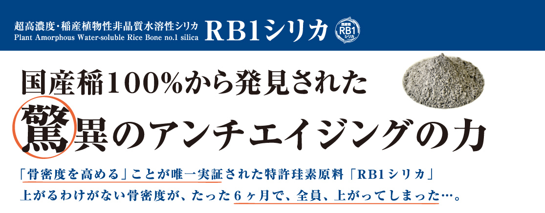 稲由来RB1シリカのご紹介