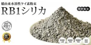 稲由来RB1シリカのご紹介